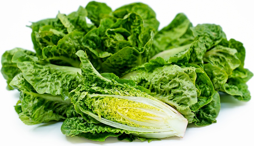 CRUNCHING THE GREENS: THE HEALTH BENEFIT OF ROMAINE LETTUCE-A COMPREHENSIVE ANALYSIS