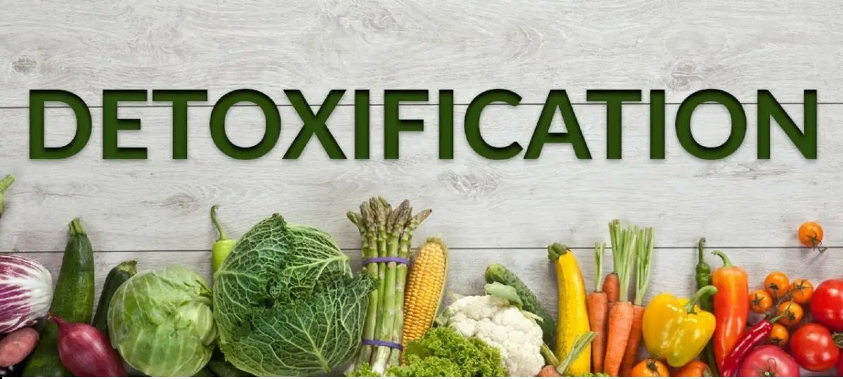 REVITALIZE YOUR ENERGYTHE POWER OF DETOXIFICATION FOR A VIBRANT LIFE