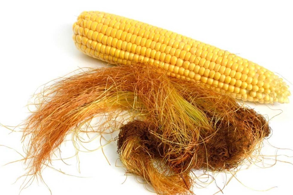 HARVESTING HEALTH : THE POWERFUL BENEFITS OF CORN SILK