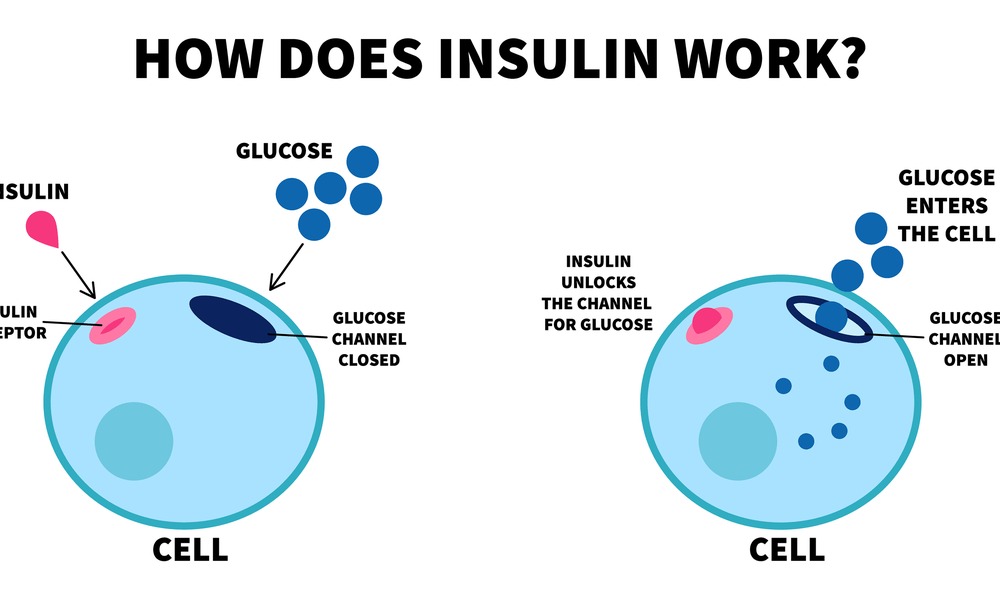 HARMFUL GLUCOSE v/s ESSENTIAL INSULIN : UNRAVELING THE BLOOD SUGAR PUZZLE.