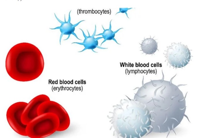 PLATELETS : HEALTH HAZARDS AND NATURAL TREATMENT FOR OPTIMAL WELLNESS